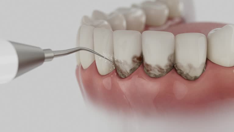 Reliable Dental contractor in Taft Heights, CA by Dentist Open Now